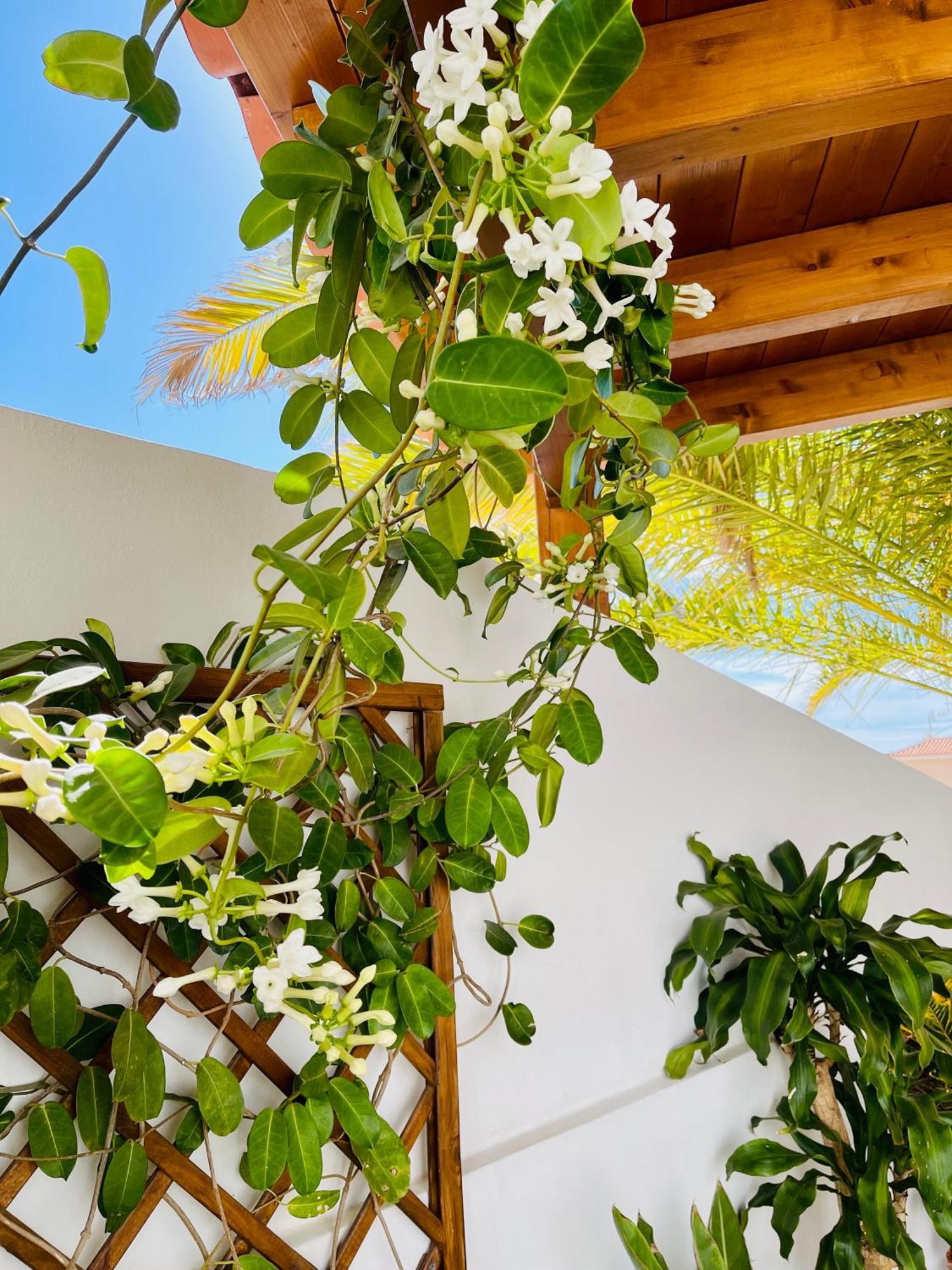 Villa Panoramic Del Atlantico Costa Adeje  Eksteriør bilde